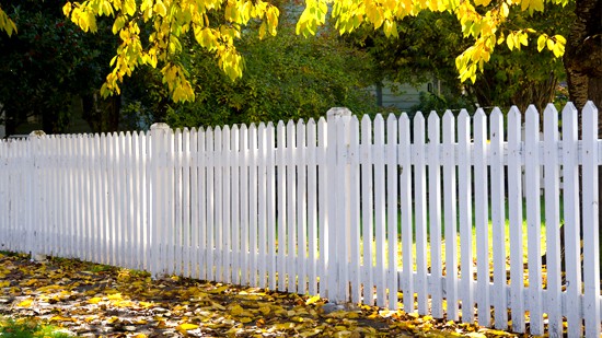 4 Ways Fall Leaves Damage Fencing | All Around Fence